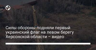 Силы обороны подняли первый украинский флаг на левом берегу Херсонской области – видео - liga.net - Украина - Херсонская обл.