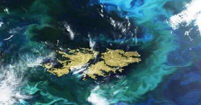 Фото раздора. Между Аргентиной и NASA разгорелся скандал из-за снимка из космоса - focus.ua - Украина - Англия - Аргентина - Мальвинские Острова - Великобритания