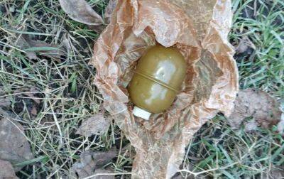 У Дніпрі в смітнику знайшли мішок з гранатами та мінами (фото) - rbc.ua - Україна