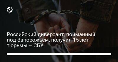 Российский диверсант, пойманный под Запорожьем, получил 15 лет тюрьмы – СБУ - liga.net - Россия - Украина - Запорожская обл. - ДНР - Запорожье - Донецкая обл. - район Пологовский