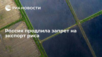 Правительство продлило временный запрет на экспорт риса до 30 июня 2023 года - smartmoney.one - Россия