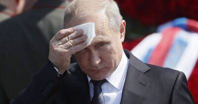 Владимир Путин - Путин начинает осознавать свои проблемы в Украине и может временно ослабить аппетиты, – разведка США - dsnews.ua - Москва - Россия - США - Украина - шт. Калифорния