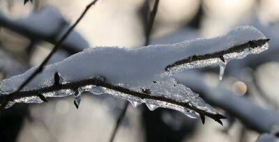 Гололедицу на дорогах и до -9°С днем обещают синоптики 5 декабря - grodnonews.by - Белоруссия