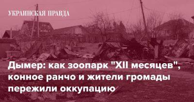 Дымер: как зоопарк "XII месяцев", конное ранчо и жители громады пережили оккупацию - pravda.com.ua