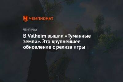 В Valheim вышли «Туманные земли». Это крупнейшее обновление с релиза игры - championat.com - Россия