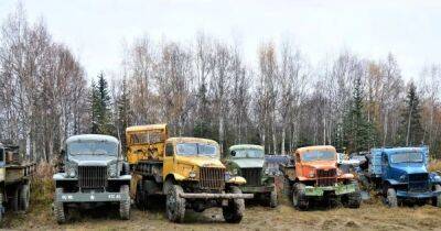 В США среди глуши обнаружили огромное кладбище раритетных 80-летних грузовиков (видео) - focus.ua - США - Украина - Англия - шт.Аляска - state Alaska