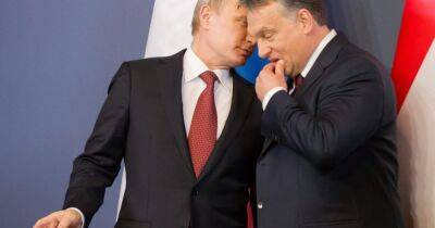 Виктор Орбан - Гинтаре Скайсте - Орбан назвал фейком венгерское вето на макрофинансовую помощь Украине - dsnews.ua - Украина - Венгрия - Литва - Будапешт