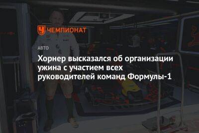 Максим Ферстаппен - Кристиан Хорнер - Себастьян Феттель - Серхио Перес - Хорнер высказался об организации ужина с участием всех руководителей команд Формулы-1 - championat.com - США - Мексика - Абу-Даби