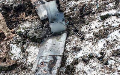 Нацгвардейцы сбили крылатую ракету из стрелкового оружия - korrespondent.net - Россия - Украина