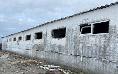 Росіяни обстріляли ферму на Сумщині: загинули тварини (фото) - rbc.ua - Украина - Україна