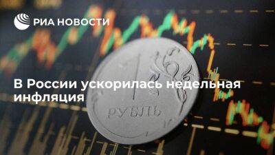 Алексей Заботкин - Росстат: инфляция в России с 29 ноября по 5 декабря ускорилась до 0,58 процента - smartmoney.one - Россия