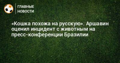 Андрей Аршавин - «Кошка похожа на русскую». Аршавин оценил инцидент с животным на пресс-конференции Бразилии - bombardir.ru - Бразилия