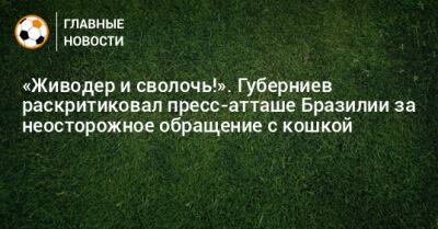 Дмитрий Губерниев - «Живодер и сволочь!». Губерниев раскритиковал пресс-атташе Бразилии за неосторожное обращение с кошкой - bombardir.ru - Бразилия