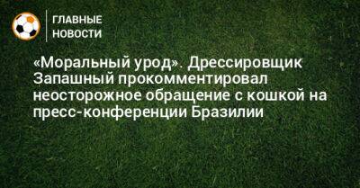 «Моральный урод». Дрессировщик Запашный прокомментировал неосторожное обращение с кошкой на пресс-конференции Бразилии - bombardir.ru - Бразилия