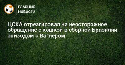 ЦСКА отреагировал на неосторожное обращение с кошкой в сборной Бразилии эпизодом с Вагнером - bombardir.ru - Бразилия