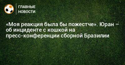 «Моя реакция была бы пожестче». Юран – об инциденте с кошкой на пресс-конференции сборной Бразилии - bombardir.ru - Бразилия