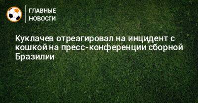 Куклачев отреагировал на инцидент с кошкой на пресс-конференции сборной Бразилии - bombardir.ru - Бразилия