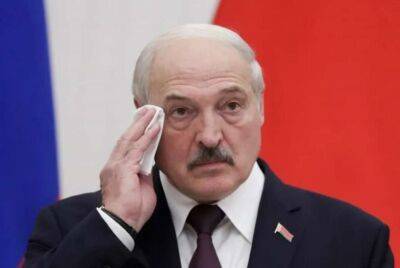 Лукашенко заявив, що НАТО хотіло розпочати війну на Донбасі - lenta.ua - Україна - Росія - Білорусь