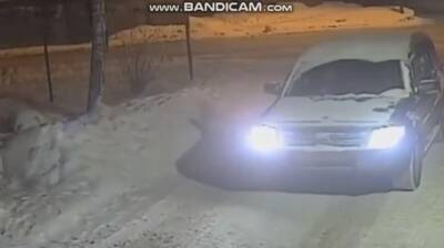 В Новосибирске ищут свидетелей смертельного наезда на 2-летнего ребёнка в санках - sib.fm - Россия - Новосибирск