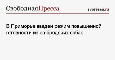 Олег Кожемяко - В Приморье введен режим повышенной готовности из-за бродячих собак - svpressa.ru - Ленинградская обл. - Алтайский край - Приморье край