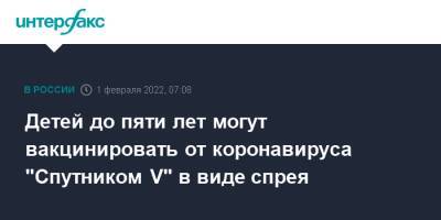 Александр Гинцбург - Детей до пяти лет могут вакцинировать от коронавируса "Спутником V" в виде спрея - interfax.ru - Москва - Россия