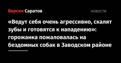 «Ведут себя очень агрессивно, скалят зубы и готовятся к нападению»: горожанка пожаловалась на бездомных собак в Заводском районе - nversia.ru - Саратов - район Заводский, Саратов