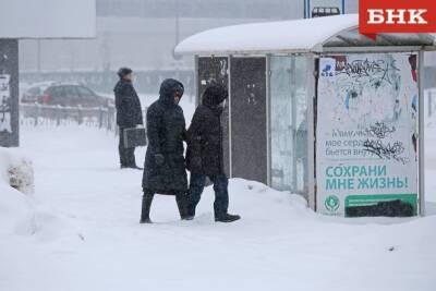 В Коми каждый второй заболевший ковидом нарушал режим самоизоляции, показал опрос - bnkomi.ru - Россия - респ. Коми