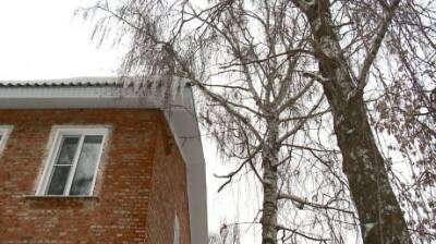 В Пензе высокое дерево угрожает целостности новой кровли - penzainform.ru - Пенза