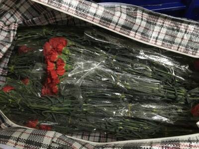 Владелец партии зараженных цветов решил ее уничтожить - afanasy.biz - Тверская обл. - Ярославская обл. - Россельхознадзор