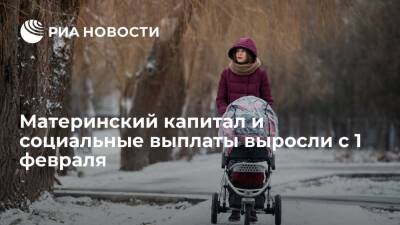 Материнский капитал, ряд социальных выплат и пособий с 1 февраля выросли на 8,4 процента - ria.ru - Москва - Россия