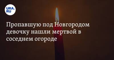 Пропавшую под Новгородом девочку нашли мертвой в соседнем огороде - ura.news - Россия - Новгородская обл. - Холм