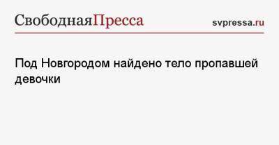 Под Новгородом найдено тело пропавшей девочки - svpressa.ru - Алтайский край - Приморье край - Новгородская обл. - Холм