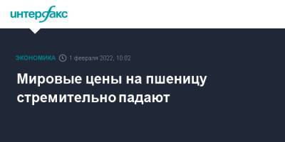 Мировые цены на пшеницу стремительно падают - interfax.ru - Москва - Россия - Украина