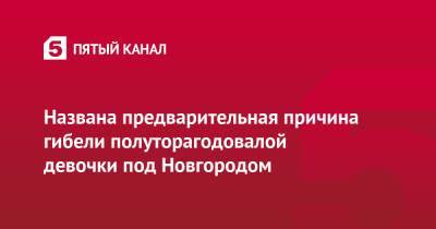 Названа предварительная причина гибели полуторагодовалой девочки под Новгородом - 5-tv.ru - Новгородская обл.