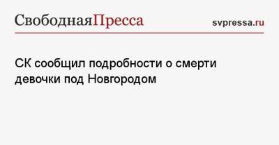 СК сообщил подробности о смерти девочки под Новгородом - svpressa.ru - Тамбов - Новгородская обл. - Холм