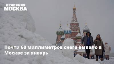 Евгений Тишковец - Почти 60 миллиметров снега выпало в Москве за январь - vm.ru - Москва - Москва
