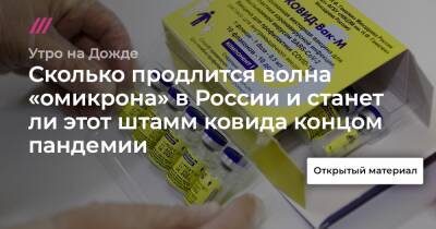 Донат Сорокин - Сколько продлится волна «омикрона» в России и станет ли этот штамм ковида концом пандемии - tvrain.ru - Россия