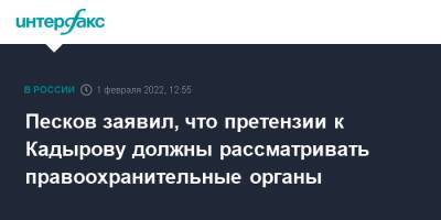 Дмитрий Песков - Рамзан Кадыров - Песков заявил, что претензии к Кадырову должны рассматривать правоохранительные органы - interfax.ru - Москва - Россия - респ. Чечня - Чечня