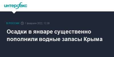 Осадки в январе существенно пополнили водные запасы Крыма - interfax.ru - Москва - Крым - Севастополь - Крым