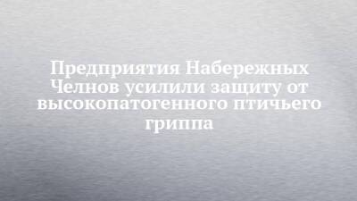 Предприятия Набережных Челнов усилили защиту от высокопатогенного птичьего гриппа - chelny-izvest.ru - Набережные Челны