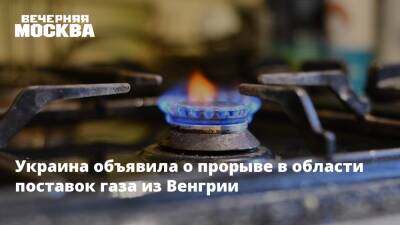 Сергей Макогон - Петер Сийярто - Венгрия - Украина объявила о прорыве в области поставок газа из Венгрии - vm.ru - Украина - Венгрия