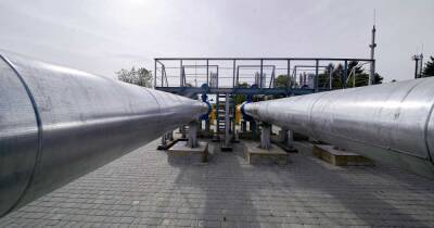 Сергей Макогон - На Украине заявили о начале физического импорта газа из Венгрии - ren.tv - Украина - Венгрия - Хорватия - Словакия