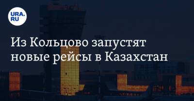 Из Кольцово запустят новые рейсы в Казахстан - ura.news - Россия - Казахстан - Узбекистан - Екатеринбург - Алма-Ата - Урал