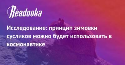 Исследование: принцип зимовки сусликов можно будет использовать в космонавтике - readovka.ru