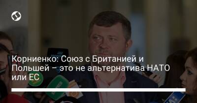 Владимир Зеленский - Александр Корниенко - Корниенко: Союз с Британией и Польшей – это не альтернатива НАТО или ЕС - liga.net - Россия - Украина - Англия - Польша