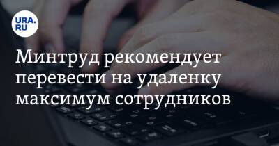 Сергей Кравцов - Минтруд рекомендует перевести на удаленку максимум сотрудников - ura.news - Россия