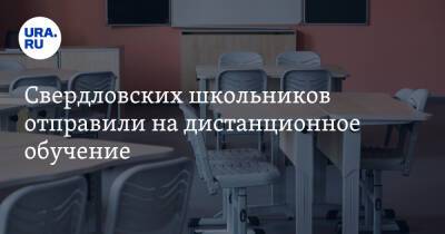 Евгений Куйвашев - Свердловских школьников отправили на дистанционное обучение - ura.news - Свердловская обл.