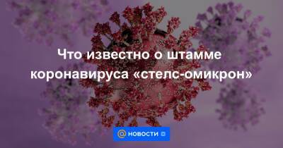 Павел Волчков - Что известно о штамме коронавируса «стелс-омикрон» - news.mail.ru - Англия - Бостон