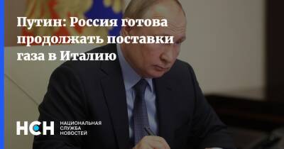 Владимир Путин - Марио Драги - Путин - Путин: Россия готова продолжать поставки газа в Италию - nsn.fm - Россия - Италия