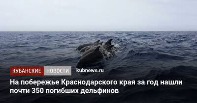 На побережье Краснодарского края за год нашли почти 350 погибших дельфинов - kubnews.ru - Анапа - Сочи - Краснодарский край - Новороссийск - Геленджик